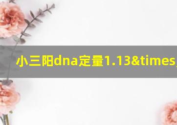 小三阳dna定量1.13×10^3