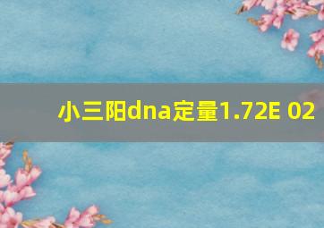 小三阳dna定量1.72E+02