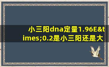 小三阳dna定量1.96E×0.2是小三阳还是大三阳?