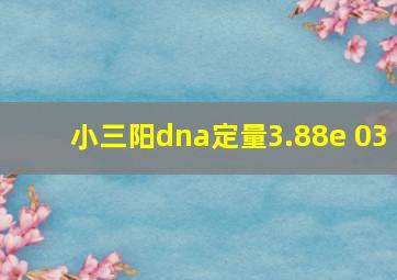 小三阳dna定量3.88e+03