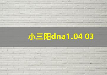 小三阳dna1.04+03