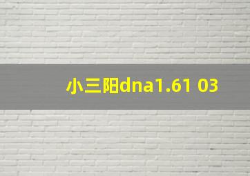 小三阳dna1.61+03