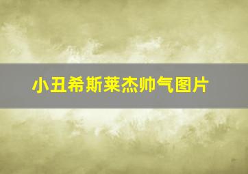 小丑希斯莱杰帅气图片