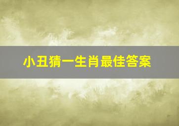 小丑猜一生肖最佳答案