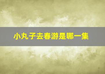 小丸子去春游是哪一集