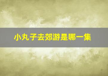 小丸子去郊游是哪一集