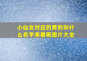 小仙女对应的男的叫什么名字来着呢图片大全