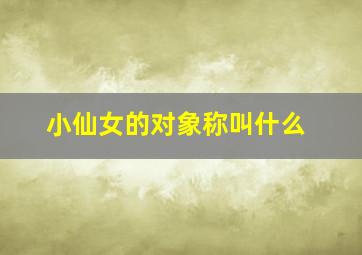 小仙女的对象称叫什么