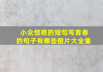 小众惊艳的短句写青春的句子有哪些图片大全集