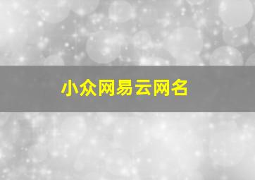 小众网易云网名