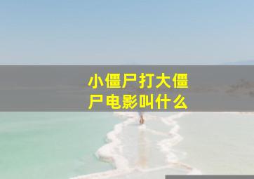 小僵尸打大僵尸电影叫什么