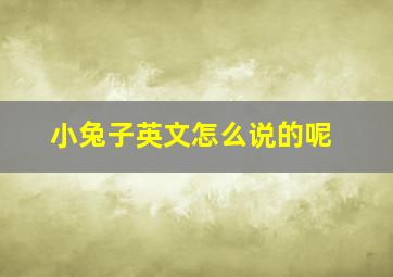 小兔子英文怎么说的呢