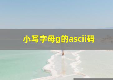 小写字母g的ascii码