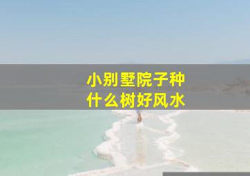 小别墅院子种什么树好风水