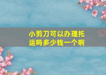 小剪刀可以办理托运吗多少钱一个啊