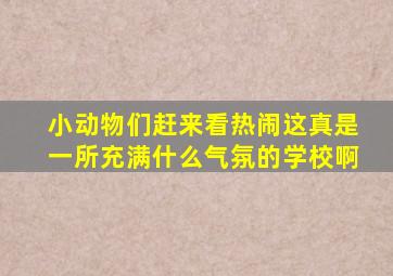 小动物们赶来看热闹这真是一所充满什么气氛的学校啊