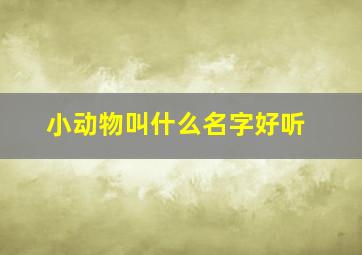 小动物叫什么名字好听