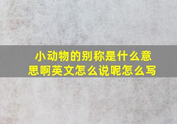 小动物的别称是什么意思啊英文怎么说呢怎么写