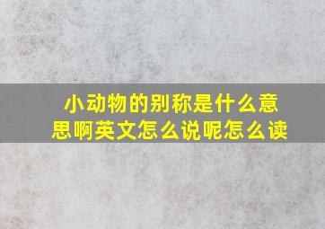 小动物的别称是什么意思啊英文怎么说呢怎么读