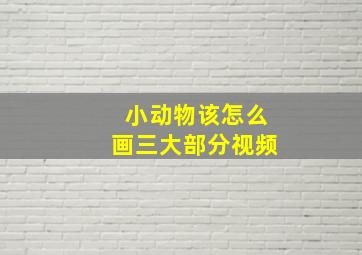 小动物该怎么画三大部分视频