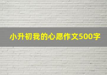 小升初我的心愿作文500字