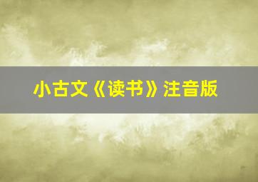 小古文《读书》注音版