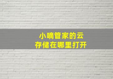 小嘀管家的云存储在哪里打开