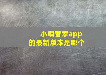 小嘀管家app的最新版本是哪个