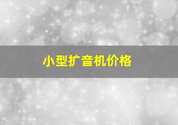 小型扩音机价格