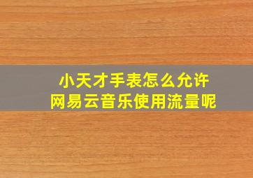 小天才手表怎么允许网易云音乐使用流量呢