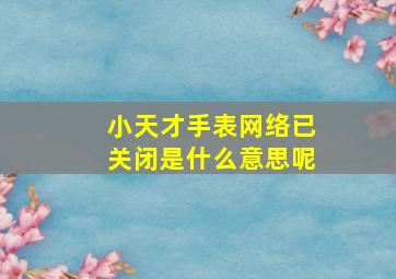 小天才手表网络已关闭是什么意思呢