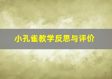 小孔雀教学反思与评价