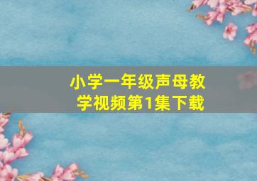 小学一年级声母教学视频第1集下载