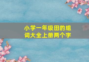 小学一年级田的组词大全上册两个字