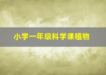 小学一年级科学课植物