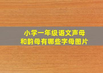 小学一年级语文声母和韵母有哪些字母图片