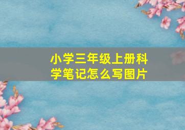 小学三年级上册科学笔记怎么写图片