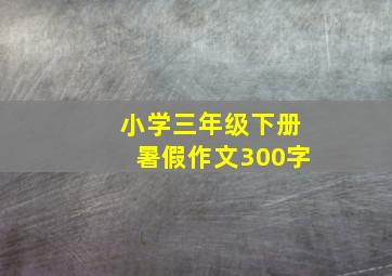 小学三年级下册暑假作文300字