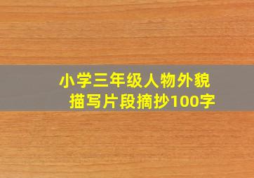 小学三年级人物外貌描写片段摘抄100字