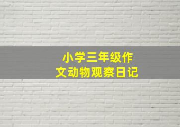 小学三年级作文动物观察日记