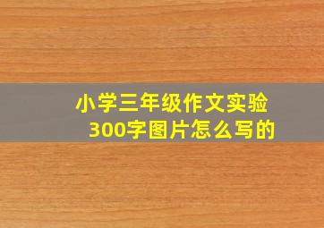 小学三年级作文实验300字图片怎么写的