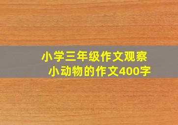 小学三年级作文观察小动物的作文400字