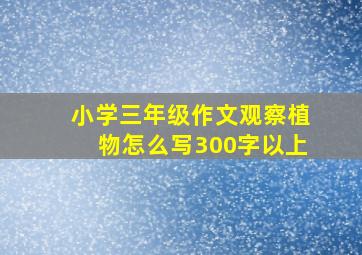 小学三年级作文观察植物怎么写300字以上