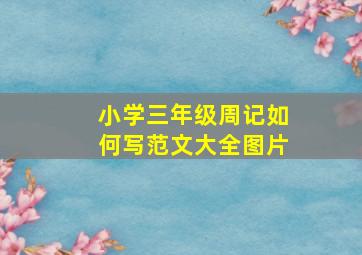 小学三年级周记如何写范文大全图片