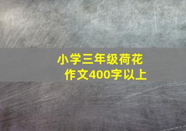 小学三年级荷花作文400字以上