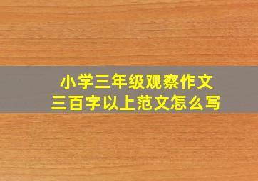 小学三年级观察作文三百字以上范文怎么写