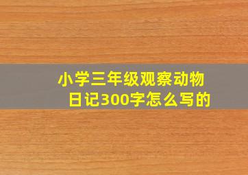 小学三年级观察动物日记300字怎么写的