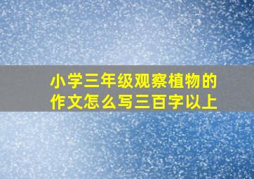 小学三年级观察植物的作文怎么写三百字以上