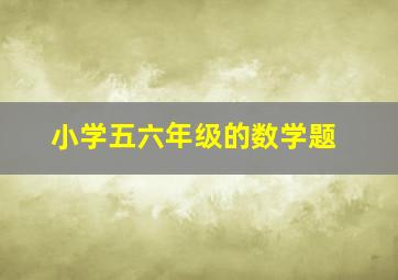 小学五六年级的数学题