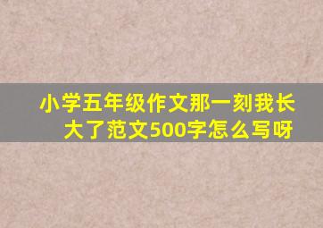 小学五年级作文那一刻我长大了范文500字怎么写呀